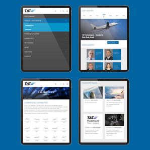 TAT Technologies group