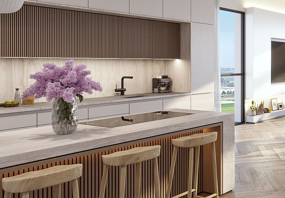 salon f 2501.jpg
