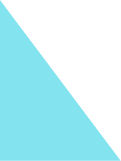 rectangle botom left smal.png