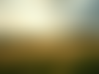 Top Tips for Aspiring Writers in Worcestershire