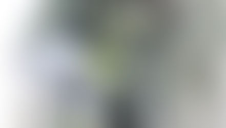 Creation Hibernation and waking up