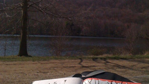 'The Healing Tree' by Angie Mason for a Japan Benefit at Sacred Gallery,NYC