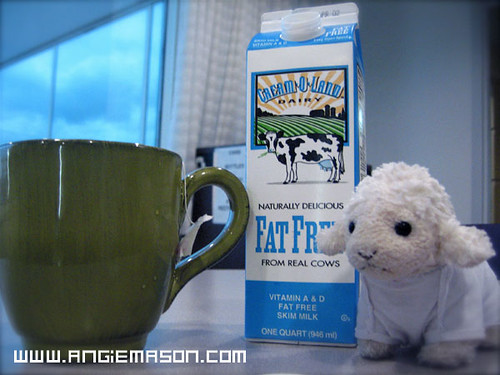 a spot of milk makes it just right on a cold cloudy day.