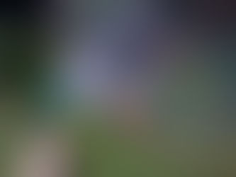 Knee deep in winter makes me dream of flowers