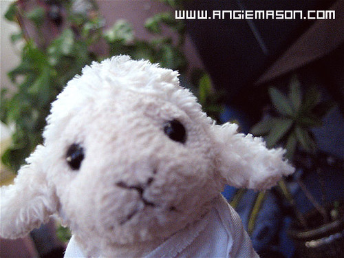 I keep lots of plants around me cause when I am inside I miss being outside...