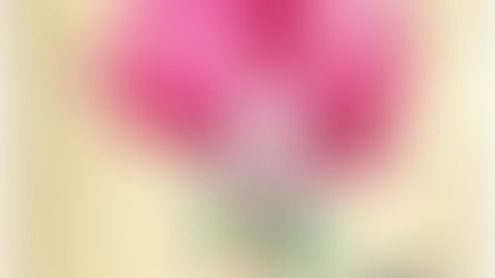 Botanicuties Specimen No.8