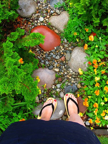 I love the garden after the rain :)