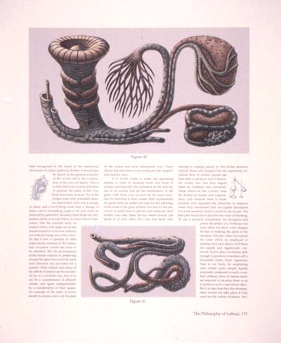 Hokes Medical Archive