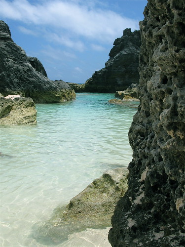 Bermuda 2009