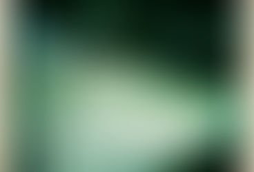 Daily Snappy Bits, Sunsets,Frozen Forests and Fun Guys ;)