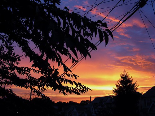 Northern New Jersey  August sun set