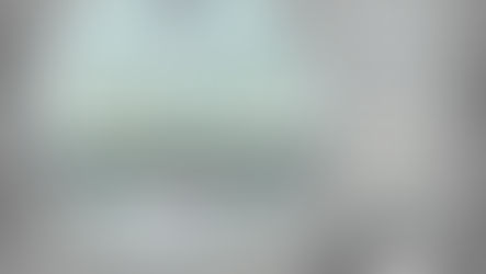 Angie Mason Newsletter Update…