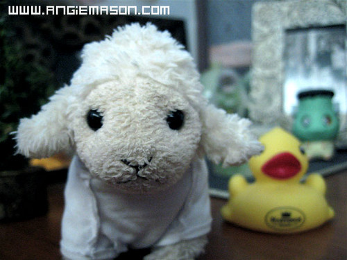 In the end working hard is ok since I have good friends to keep me company!