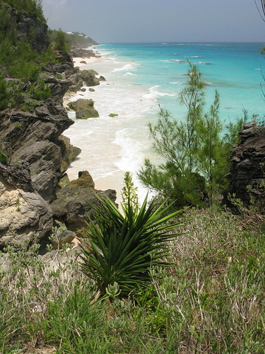 Bermuda 2009