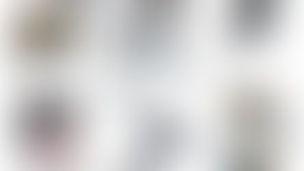 Project 30 : The Hand Picked 10 is Announced!