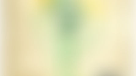 Botanicuties Specimen No. 4