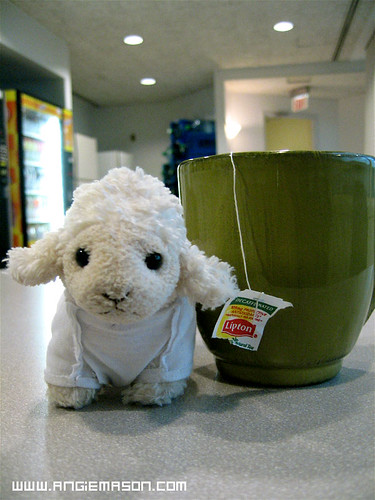 I like to take lots of tea breaks...