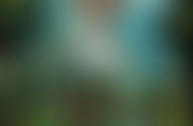 The Bad Luck Club…