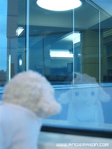 Sometimes I feel like I work to hard and wonder when I will ever leave....