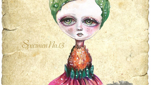 Botanicuties Specimen No.13 