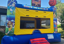 15ft Sports Arena Castle