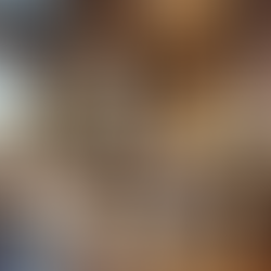 The Trend of STR Across the Continent