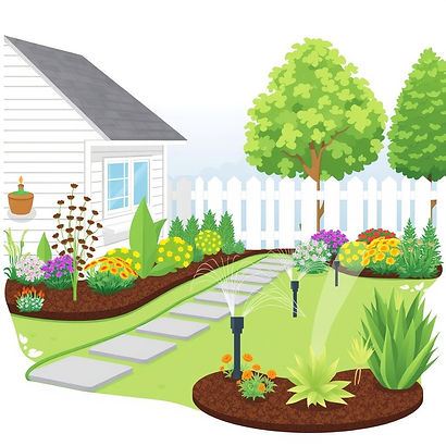 garden irrigation layout illustration.jpg