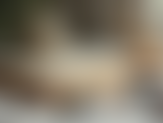 MINDUA: 哲学とスピリチュアルの融合タロットの魅力