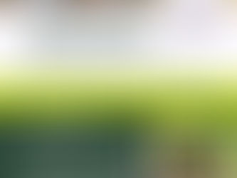 🤝Collaboration / Conférence de Sarah Tellier, Maîtresse de conférences en sciences de l’éducation et de la formation