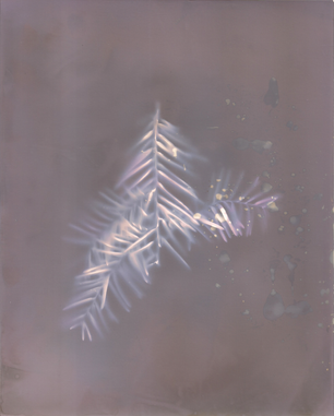 Lumen Print 1 001.bmp