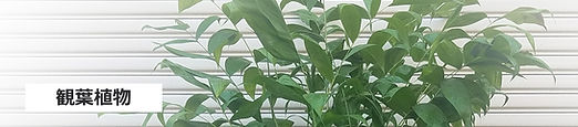 20200404_092703_edited.jpg
