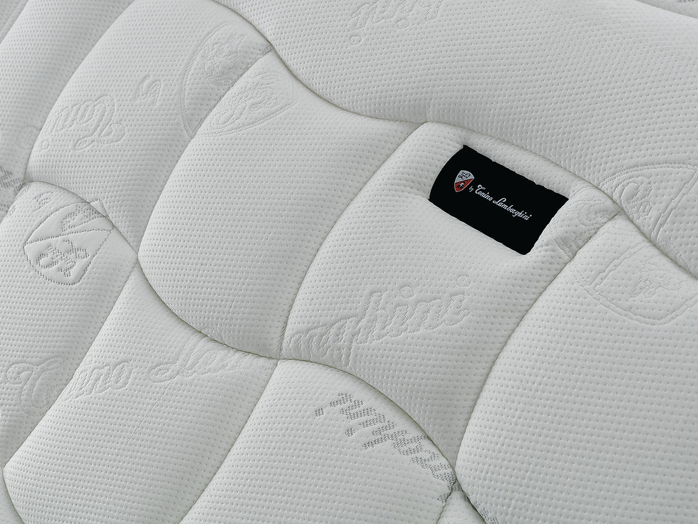 Миниатюра: DAYTONA BY TONINO LAMBORGHINI