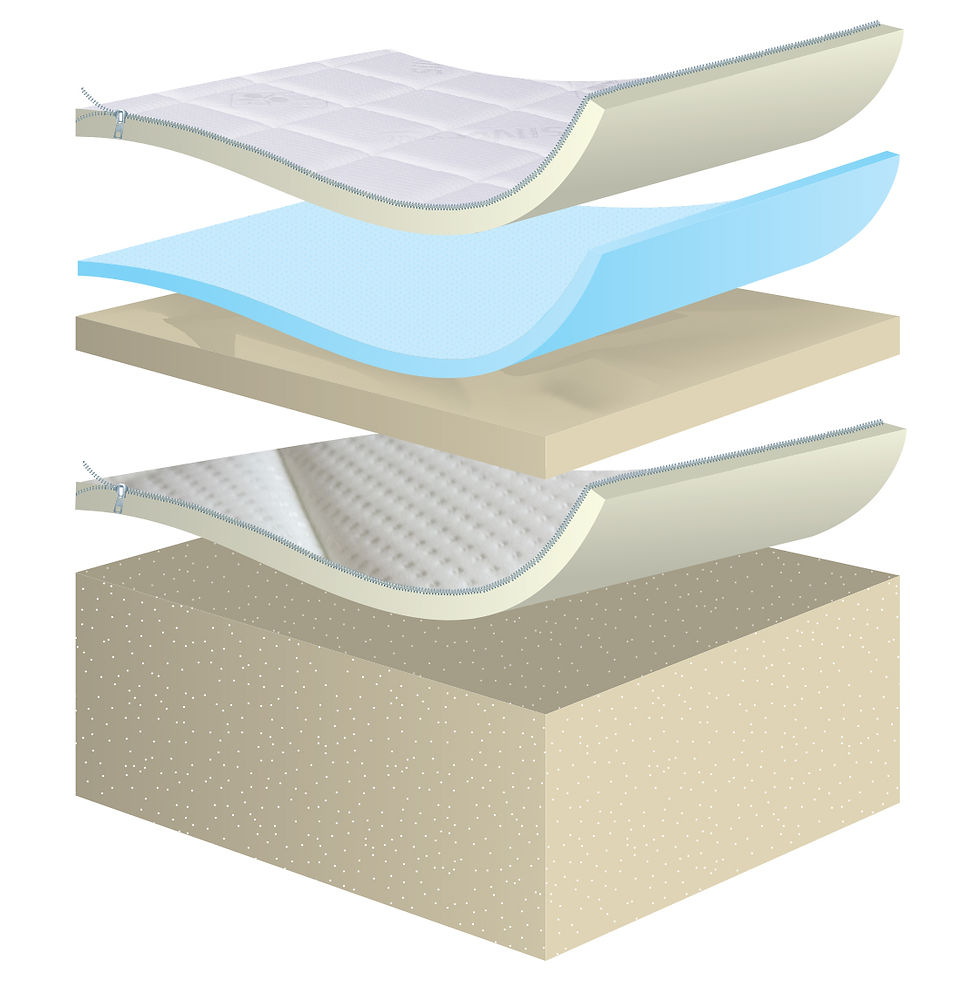 Миниатюра: SILVERCARE