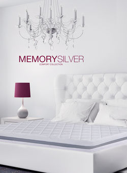 MemorySilver-vertical_interior.jpg