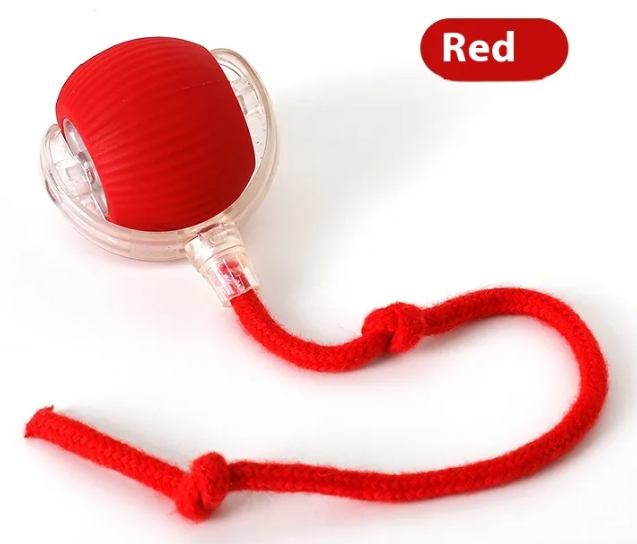 Thumbnail: Interactive Cat Toy Ball