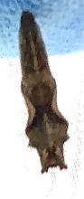 IMG-3307.jpg
