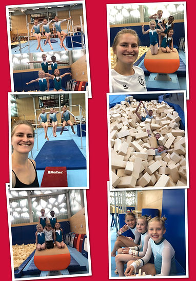 APC_Collage - 2024.07.04 12.17 - 001.jpg