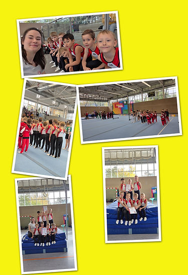 APC_Collage - 2025.10.24 15.27 - 001.jpg