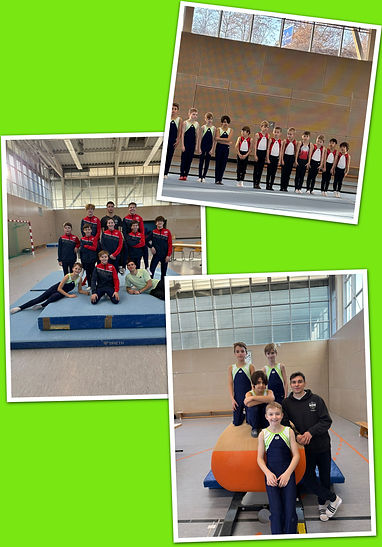 APC_Collage - 2025.02.06 23.45 - 001.jpg