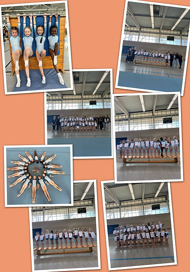 APC_Collage - 2025.03.28 11.44 - 004.jpg