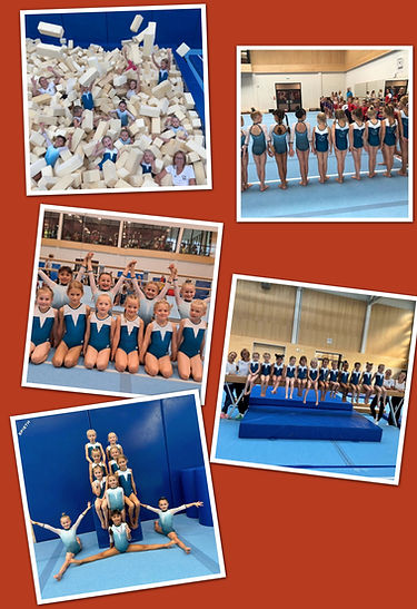 APC_Collage - TTS.jpg