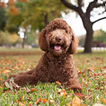 AdobeStock_113544325.0.jpeg