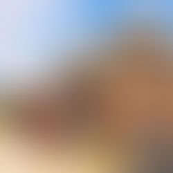 Looking For A Builder In Newcastle upon Tyne ?