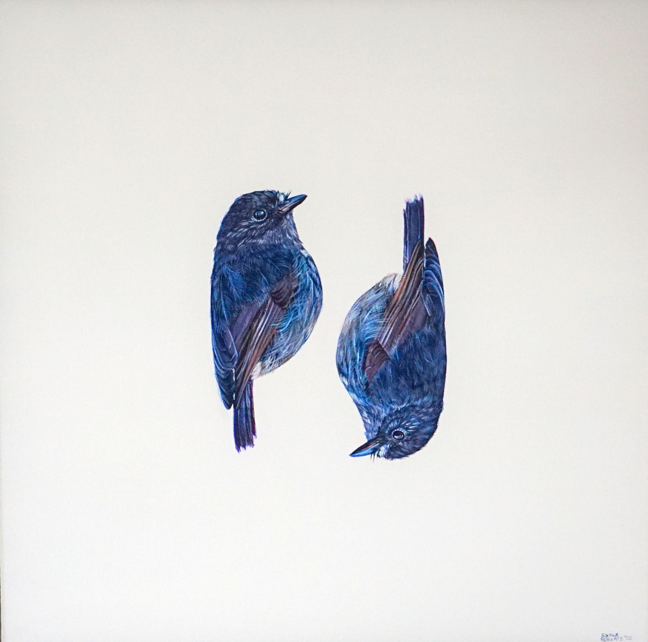 Kakaruwai, Kakaruwai