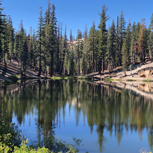 Sierra Nevada- A 2 week trip