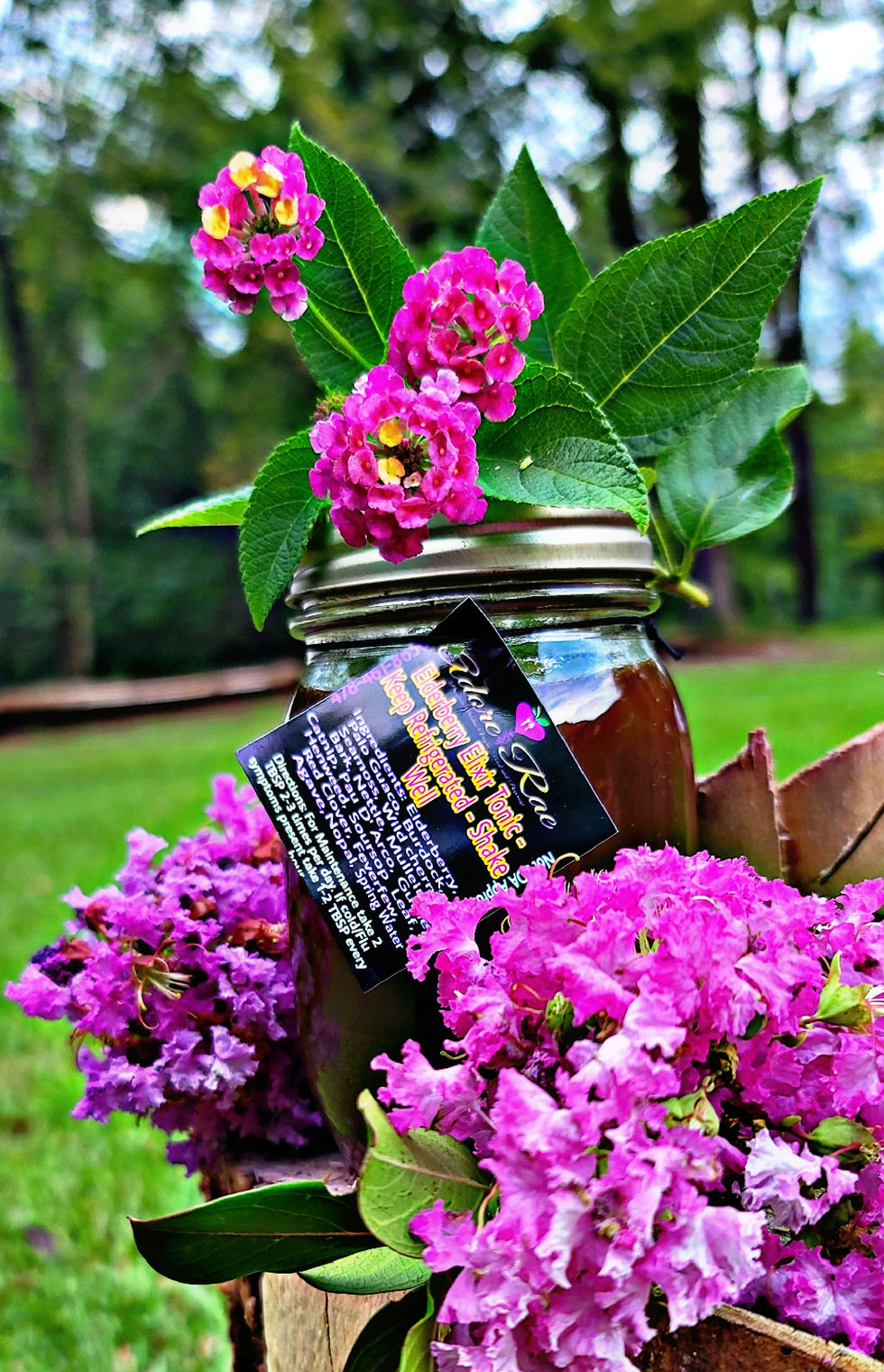 A 16 oz glass jar of Elderberry Elixir with a metallic lid, nestled among vibrant pink flowers and greenery. The label reads