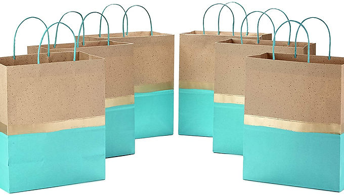 Hallmark 13" Large Paper Gift Bags