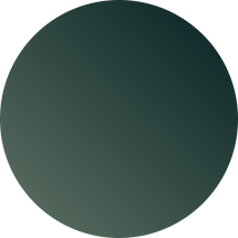 Ellipse 4 from Figma.png