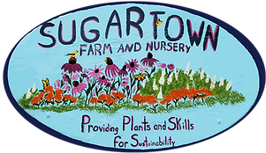 SugartownLogo(No Background)_edited.png
