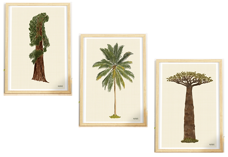 Diseño sin tÃtulo (2).png